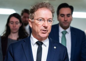 GOP senator demands DHS immigration chiefs testify after fatal shootings in Minnesota